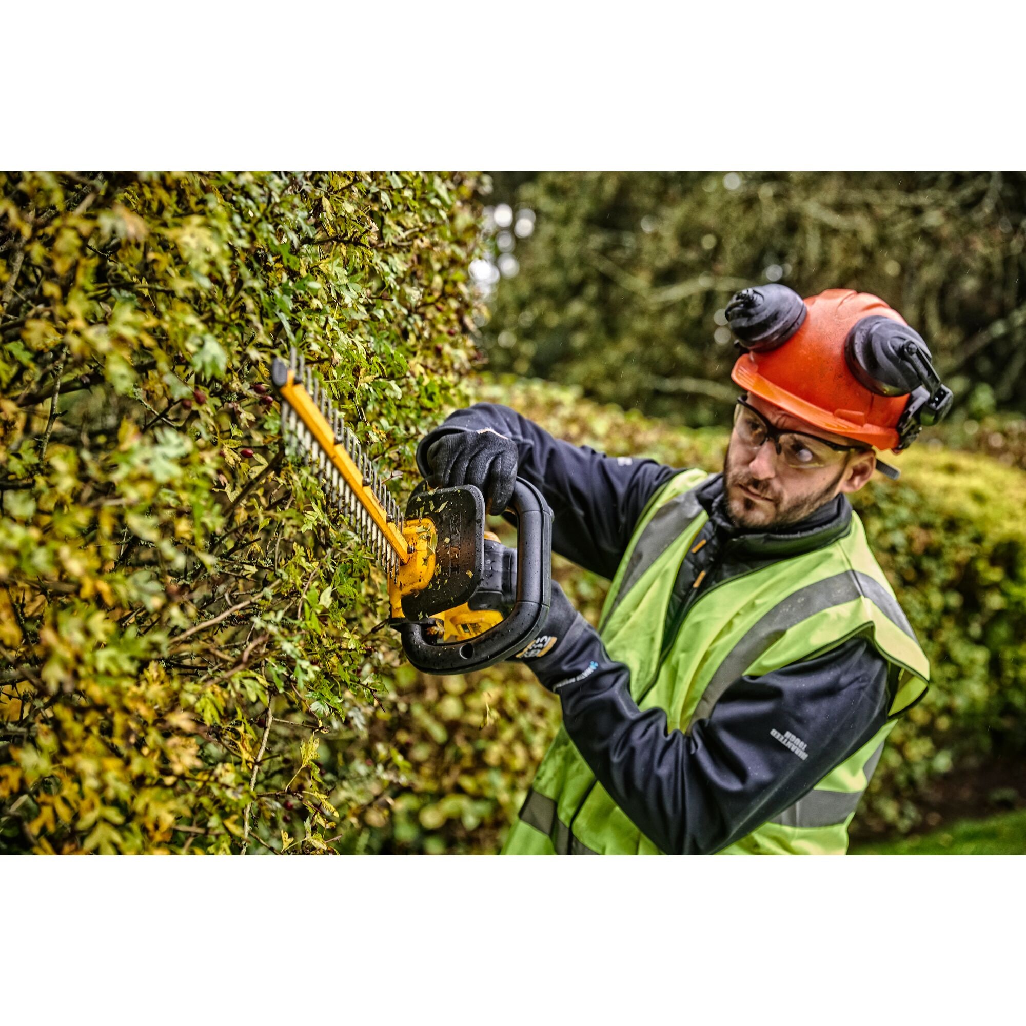 Dewalt 18v hedge discount trimmer bare unit