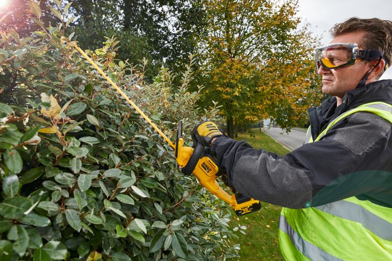 Person uses DEWALT DCM563PB hedge trimmer outdoors, trimming bushes near a street with autumn trees in background.